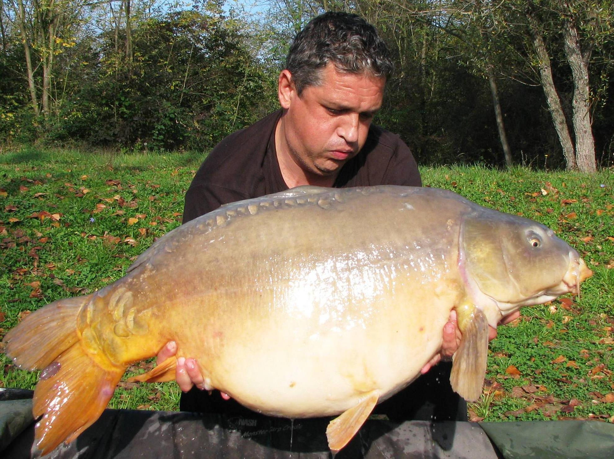 Balkan lake 26 oct. - 2 nov.